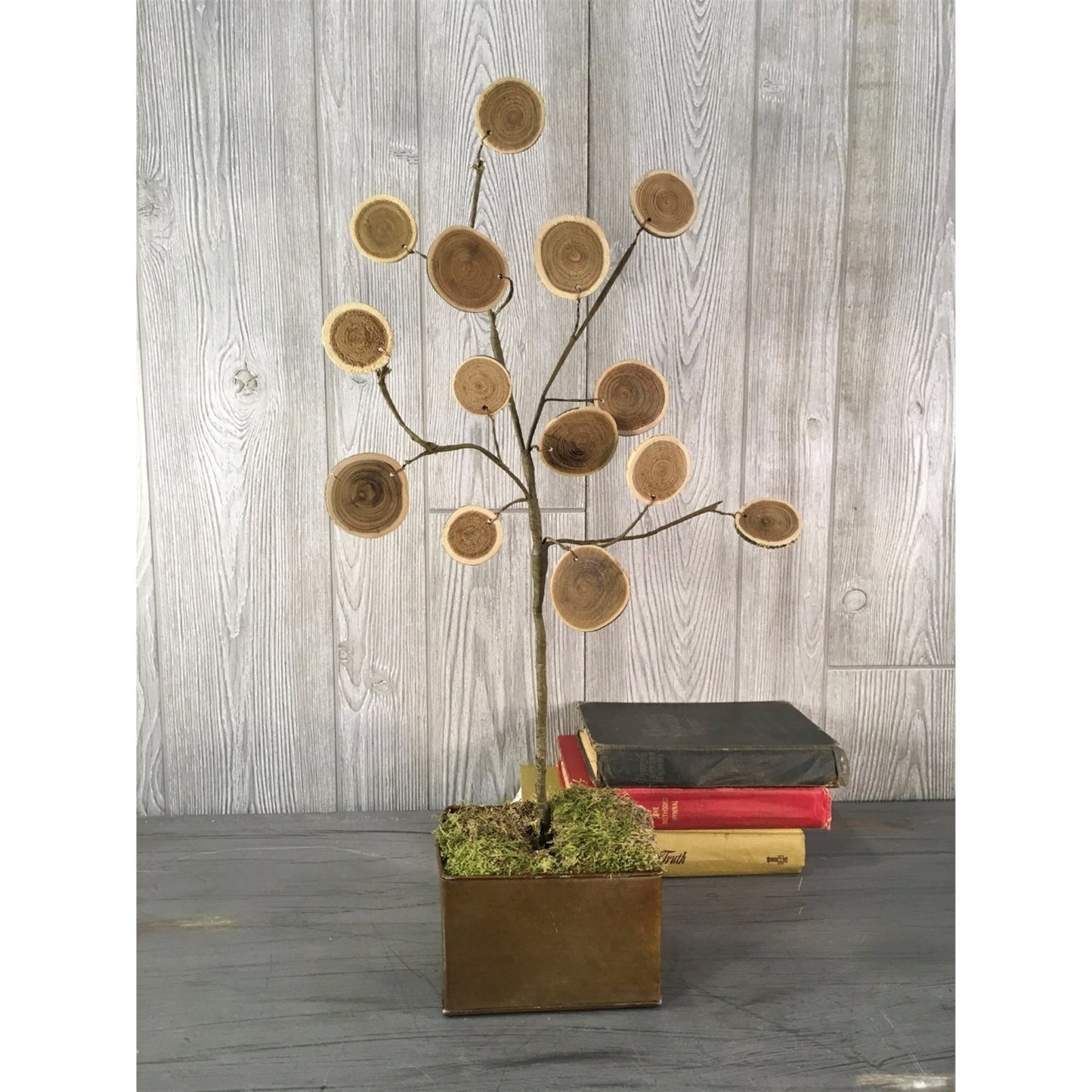 23" Natural Wood Disc Spray | BF