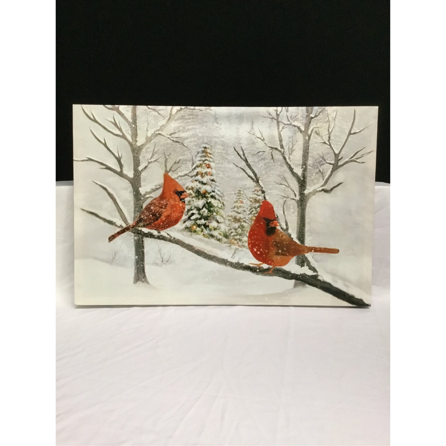 23.5" x 15.5" LED BTY TMR Cardinals Print | FX