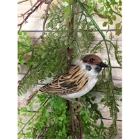 4.5" Barn Sparrow | BFE