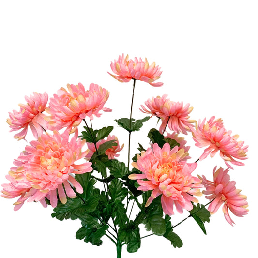 Tropical Mum Bush x 14 - 19” - Pink/Green |BYE