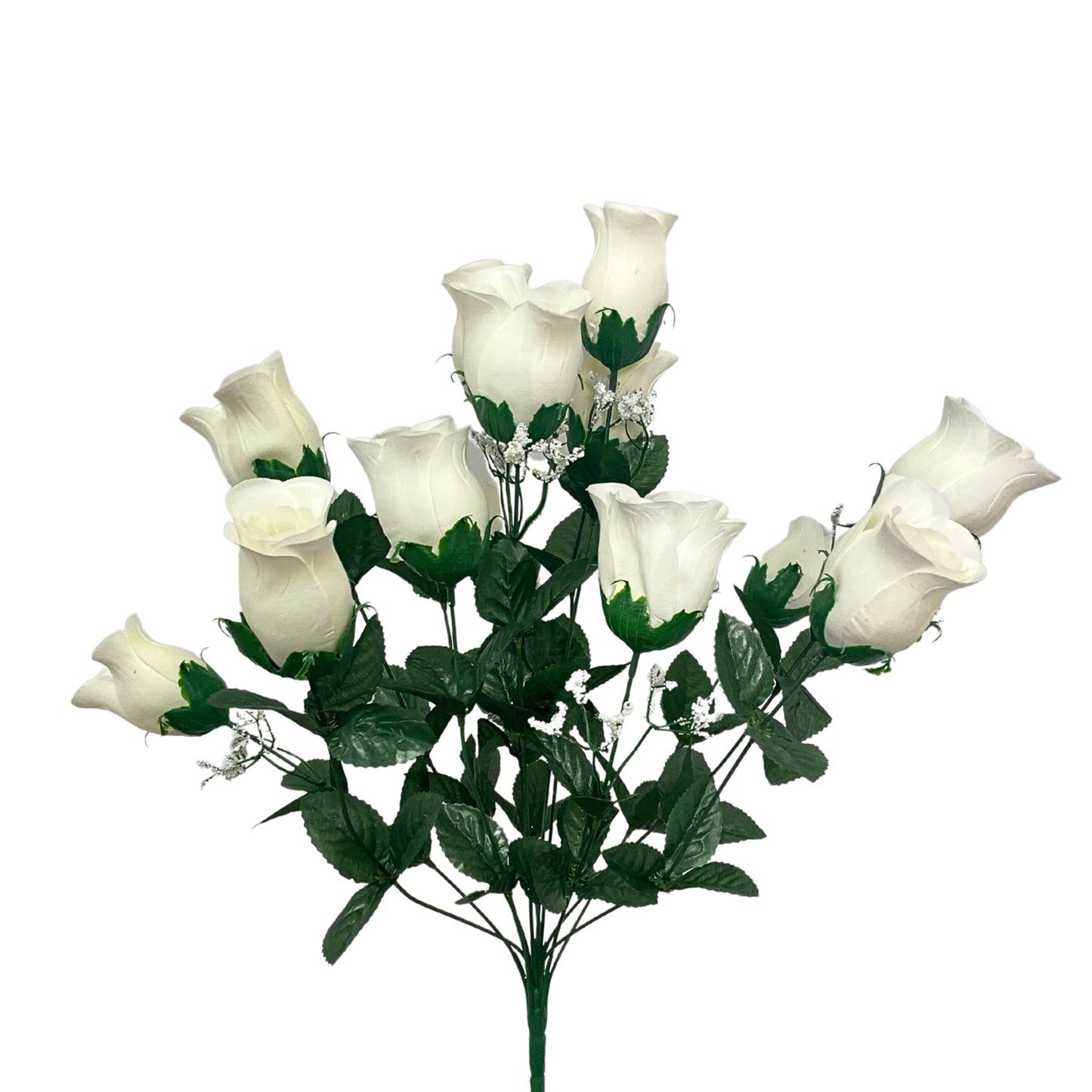 Rose Bud Bush x14 in Cream | BYE