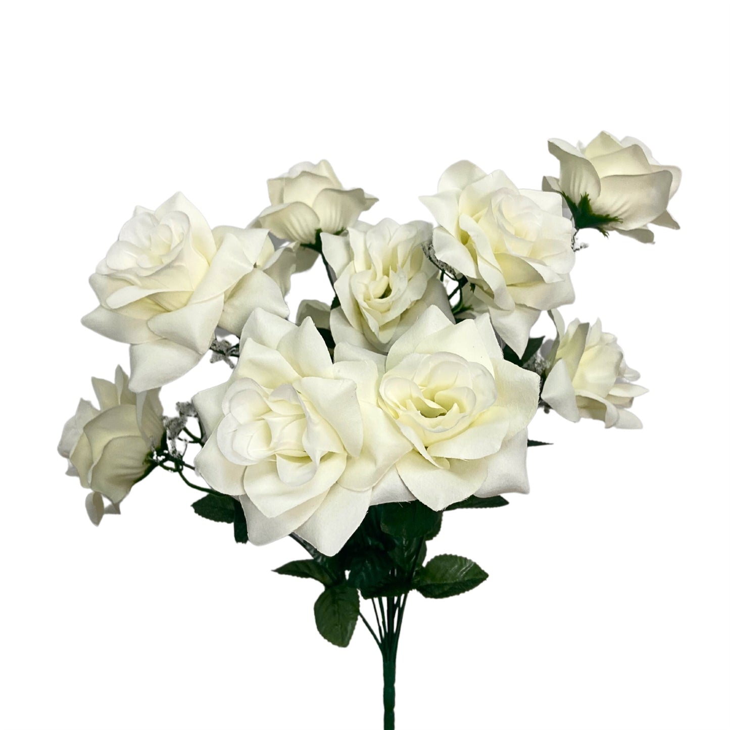 Rose Bush x12 in Cream | BYE