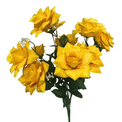 Rose Bush x12 in Yellow | BYE