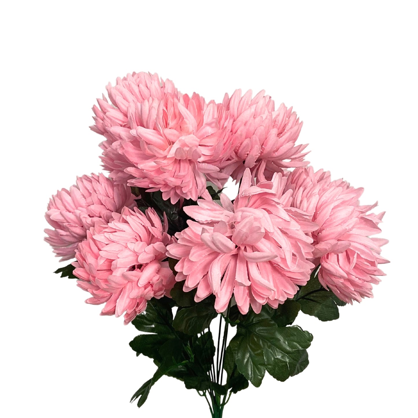 Mum Bush x12 in Pink | BYE