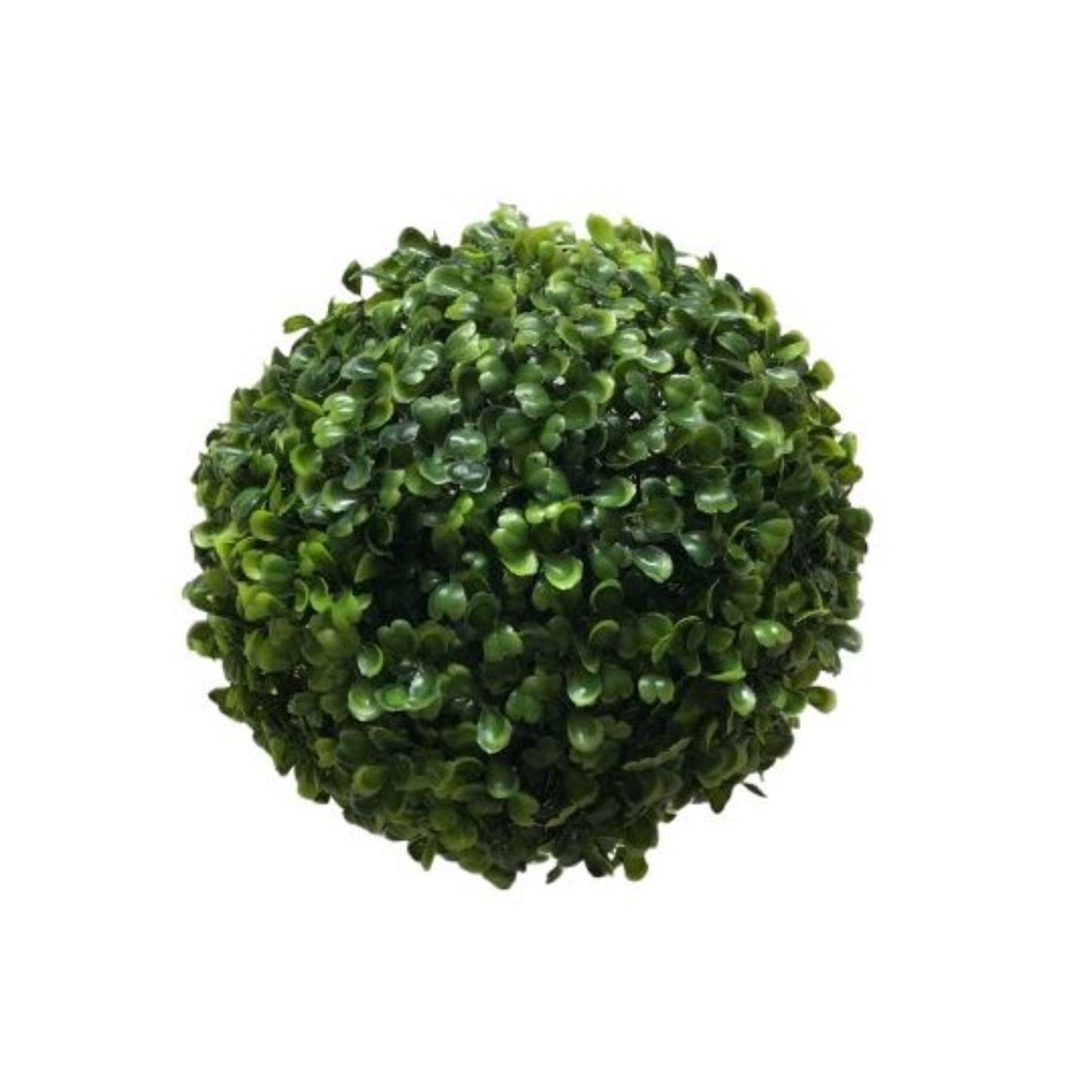 Beehive Boxwood ball D 7” | YS