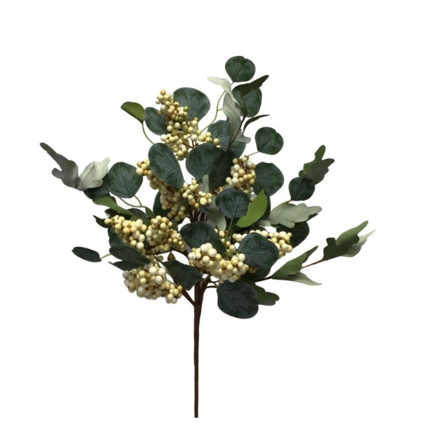 Dried Berry Spray 20.5" | YSE