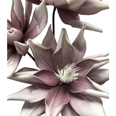Eva Botanical Blooms Bundle X 3 Dried Purple 28" | YSE23