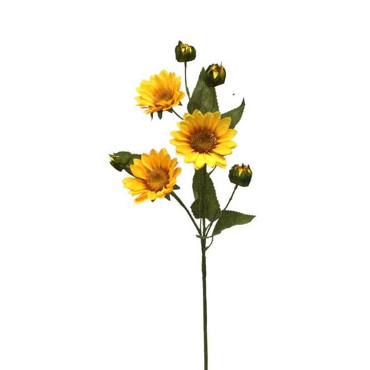 Wild Sunflower X 5 Golden 28" | YSE23