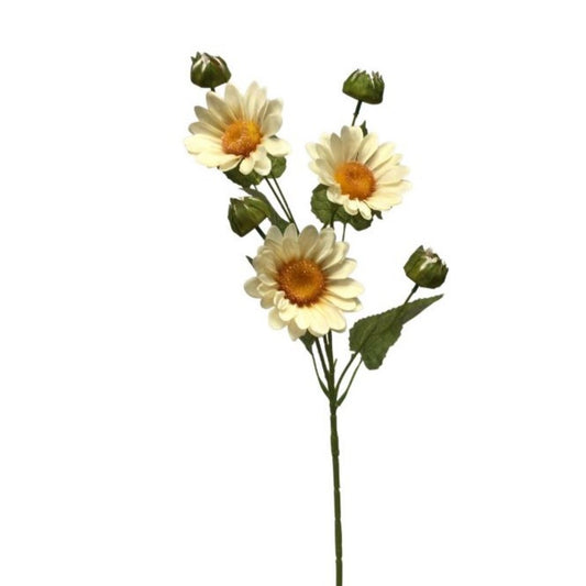 Wild Sunflower X5 Ivory 28" | YSE23