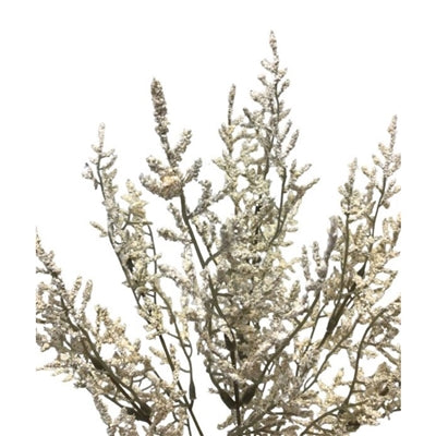Faux Dried Caspia Bush - Cream 14'' | YSE