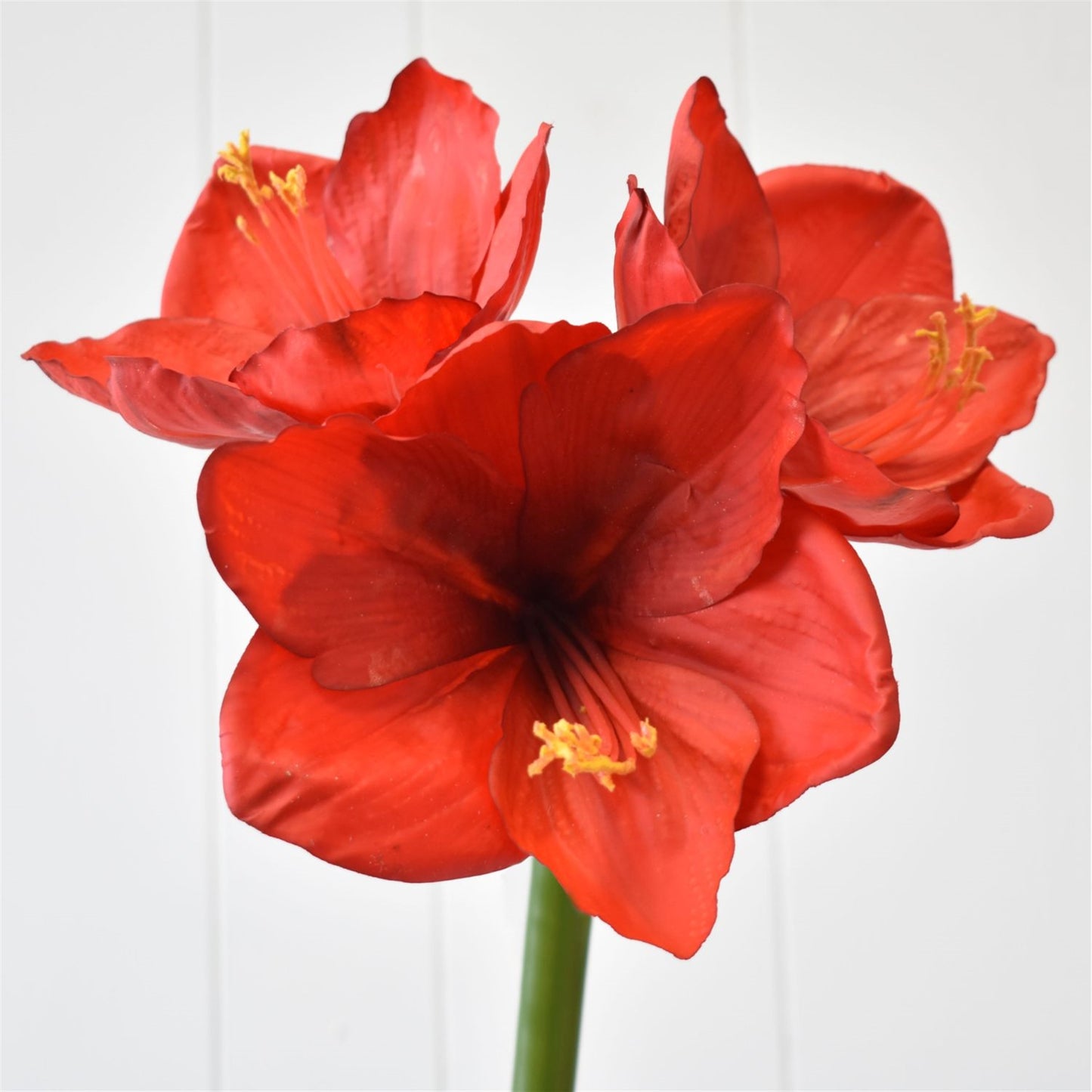 Fresh Touch Amaryllis Spray 15" in Red | LCC22