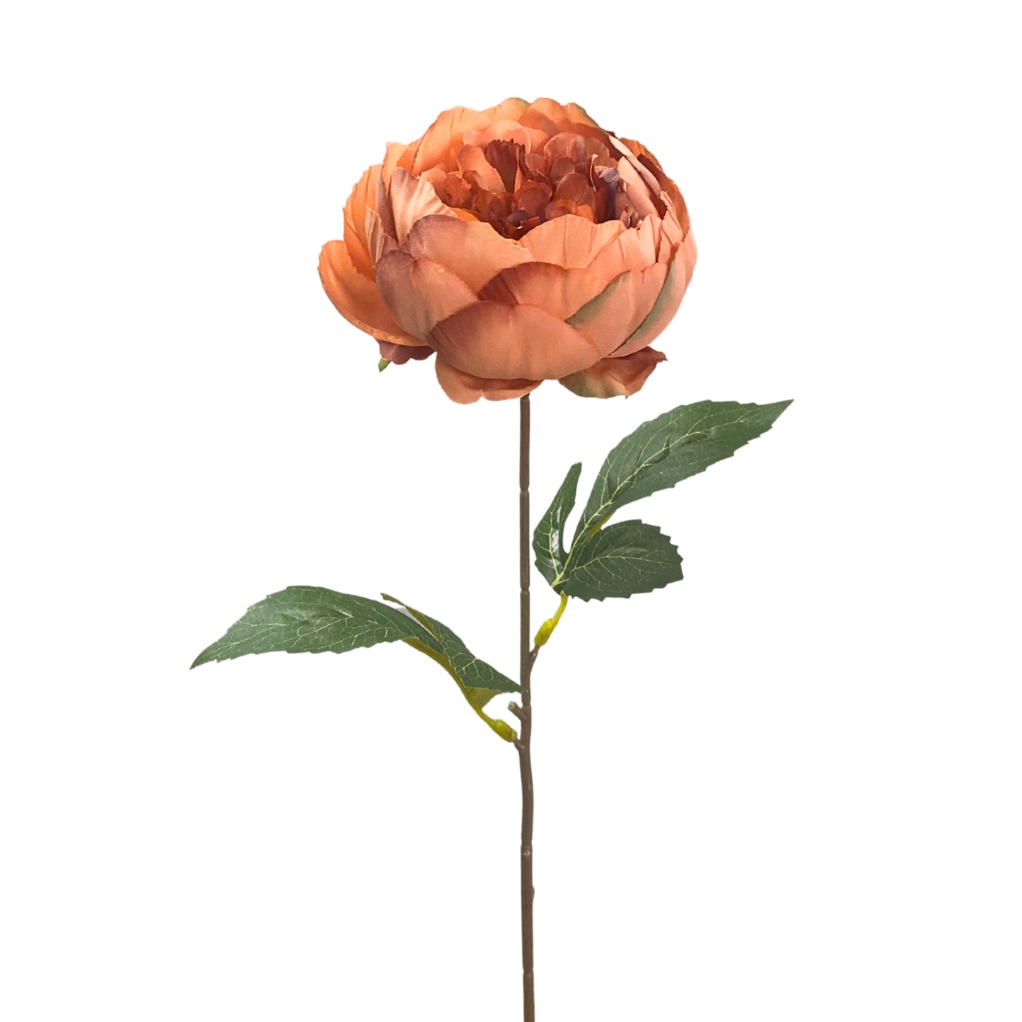 Garden Peony Stem 17.5” - Salmon | YS