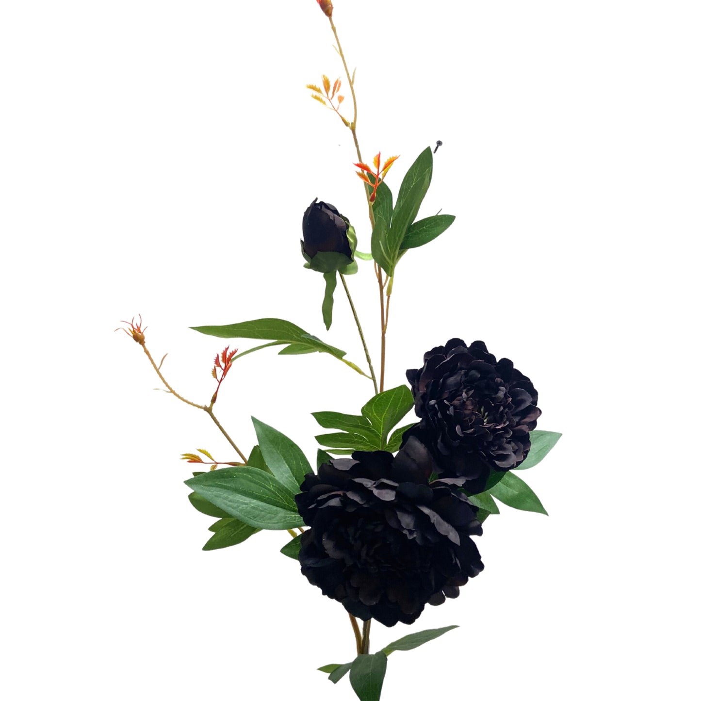 Wild Peony Spray 35” - Dark Burgundy | YS