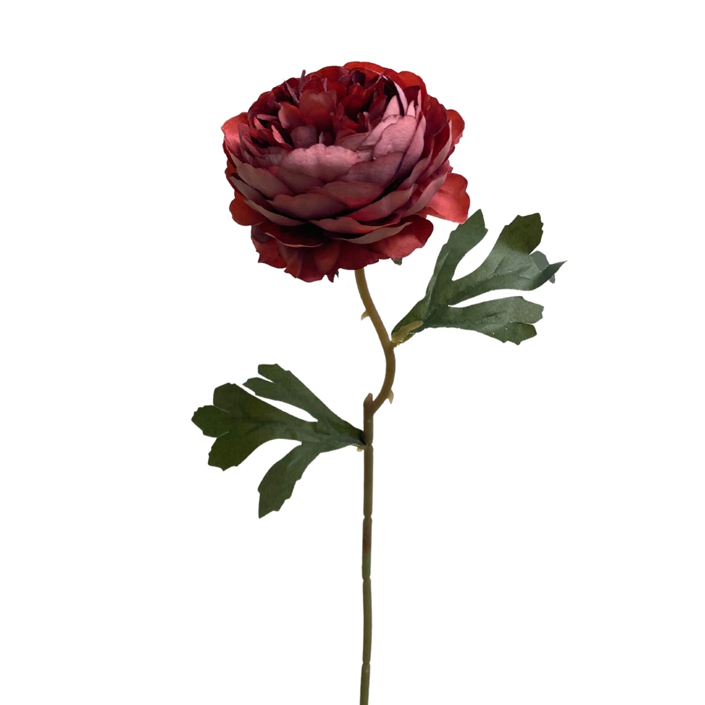 Peony Pick 14.5” - RU Red | YS