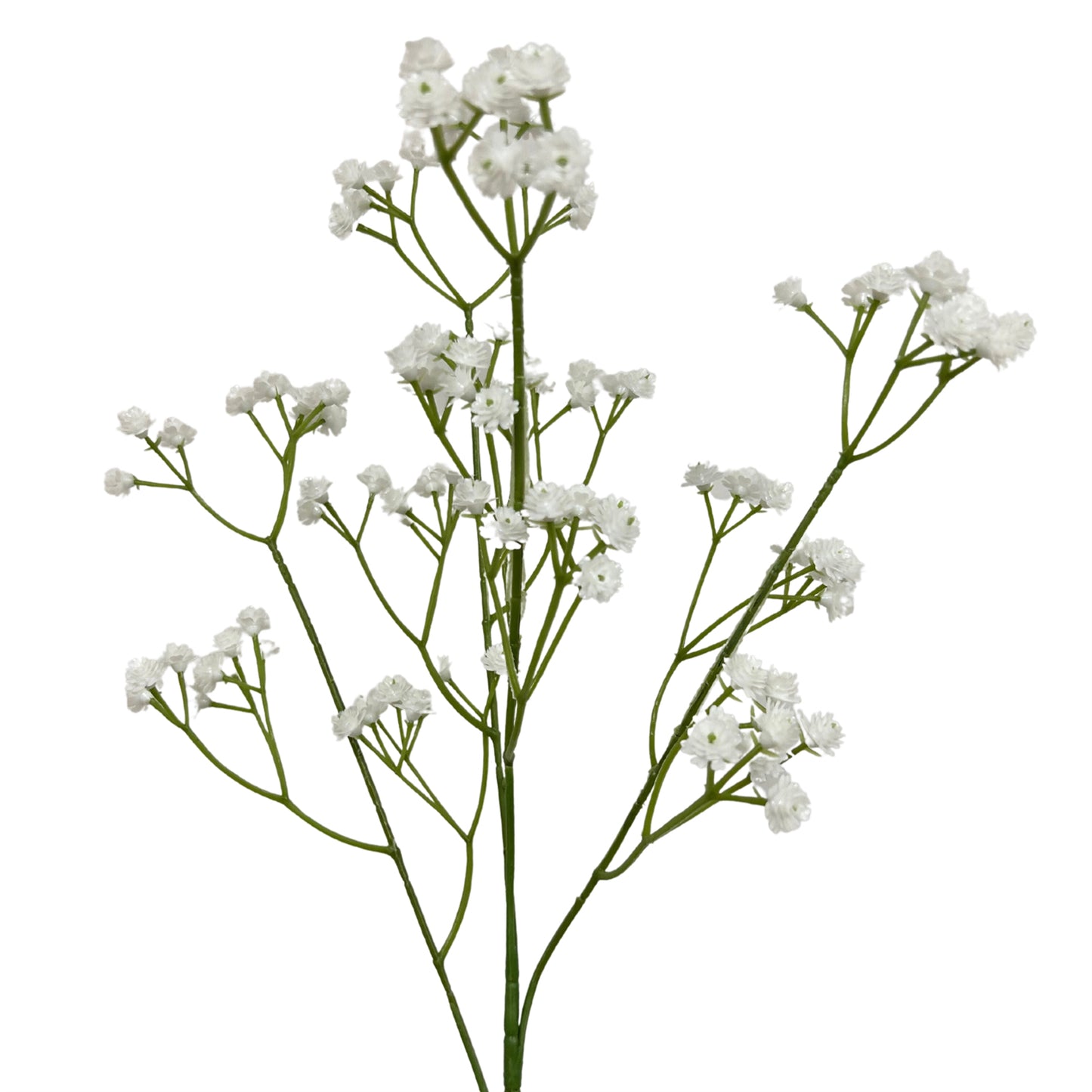 Baby's Breath Stem - 25” White |YSE