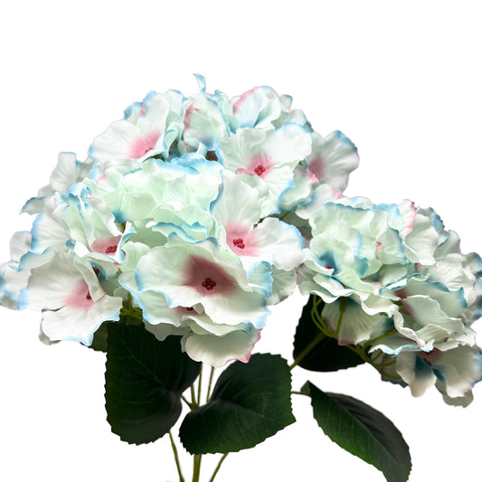 Cypress Garden Hydrangea Bush x 5 - 19” -Blue/Pink| YSE