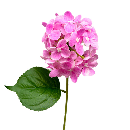 Fresh Touch Snowball Spray - Orchid - 13.5”| YSE