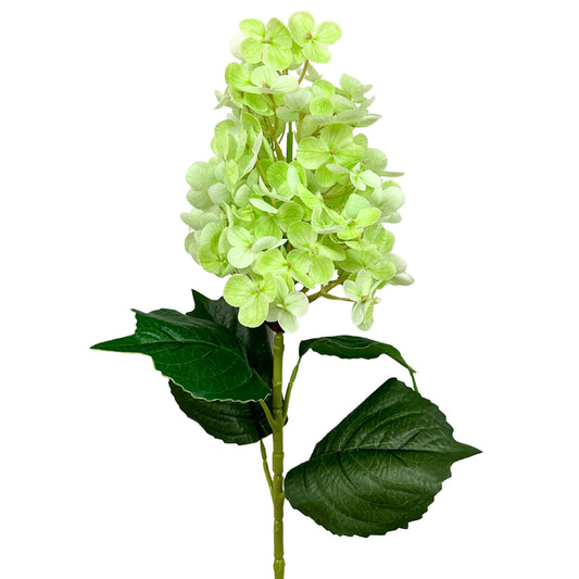 Fresh Touch Cone Hydrangea Stem - Green - 29”| YSE
