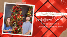Load image into Gallery viewer, Professional Series: How to Decorate a Christmas Tree Like a Pro (Intermediate Level)