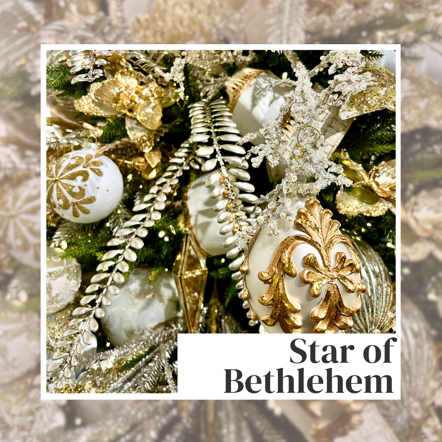 Star of Bethlehem