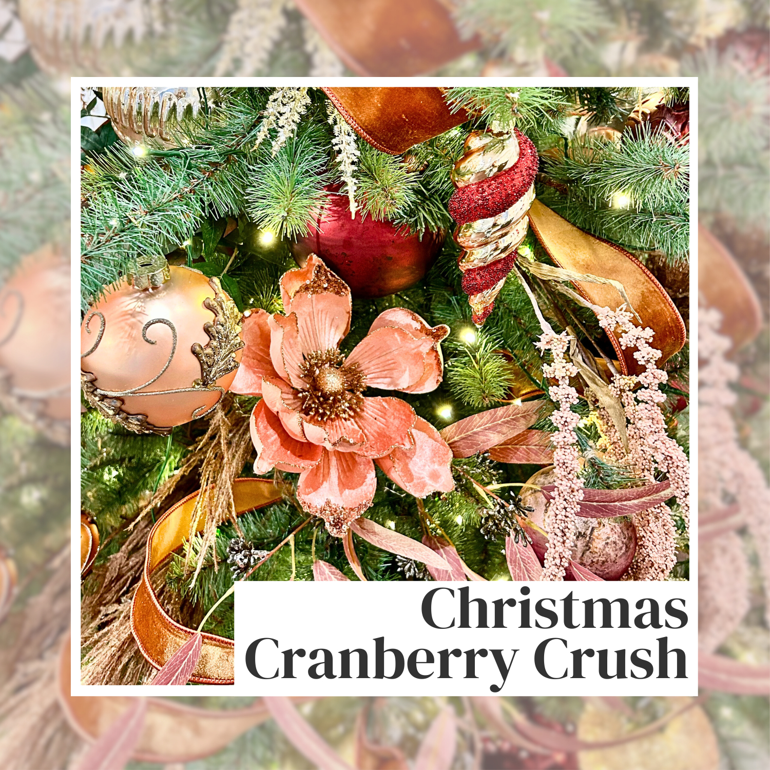 Christmas Cranberry Crush