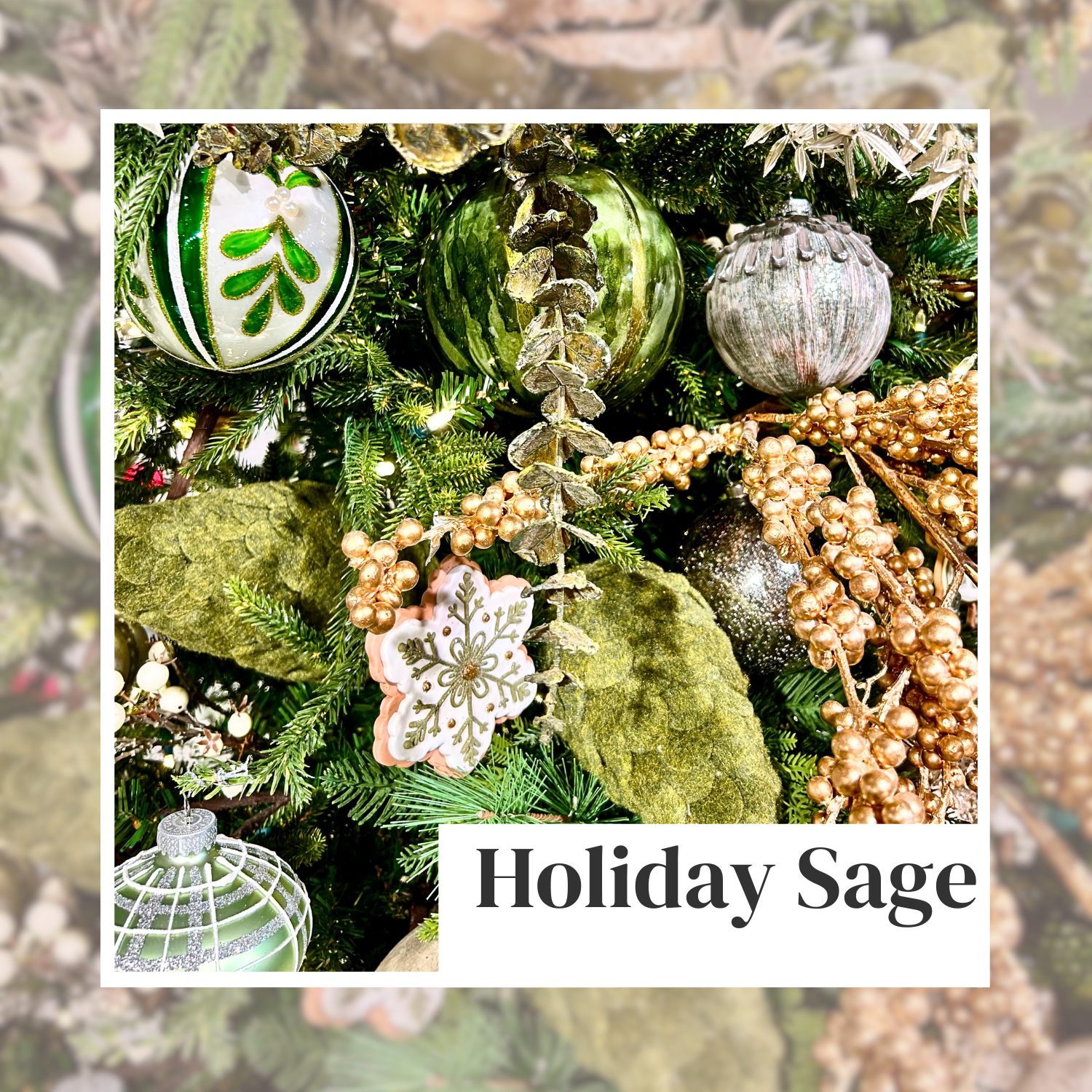 Holiday Sage