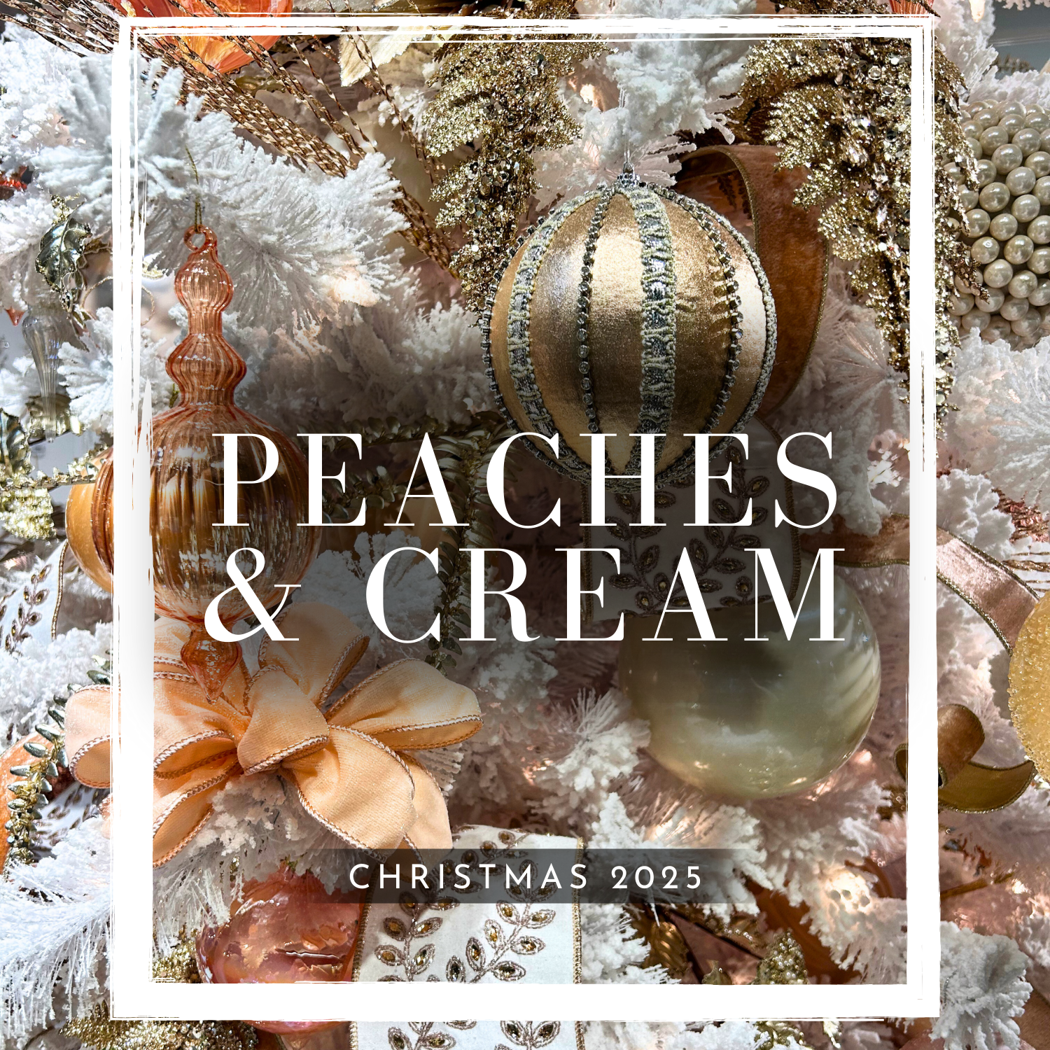 Peaches  & Cream - 2025