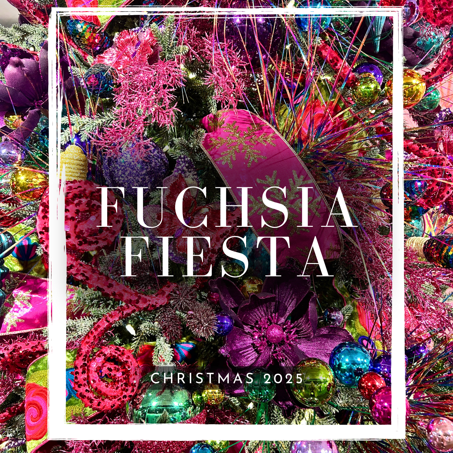 Fuchsia Fiesta - 2025