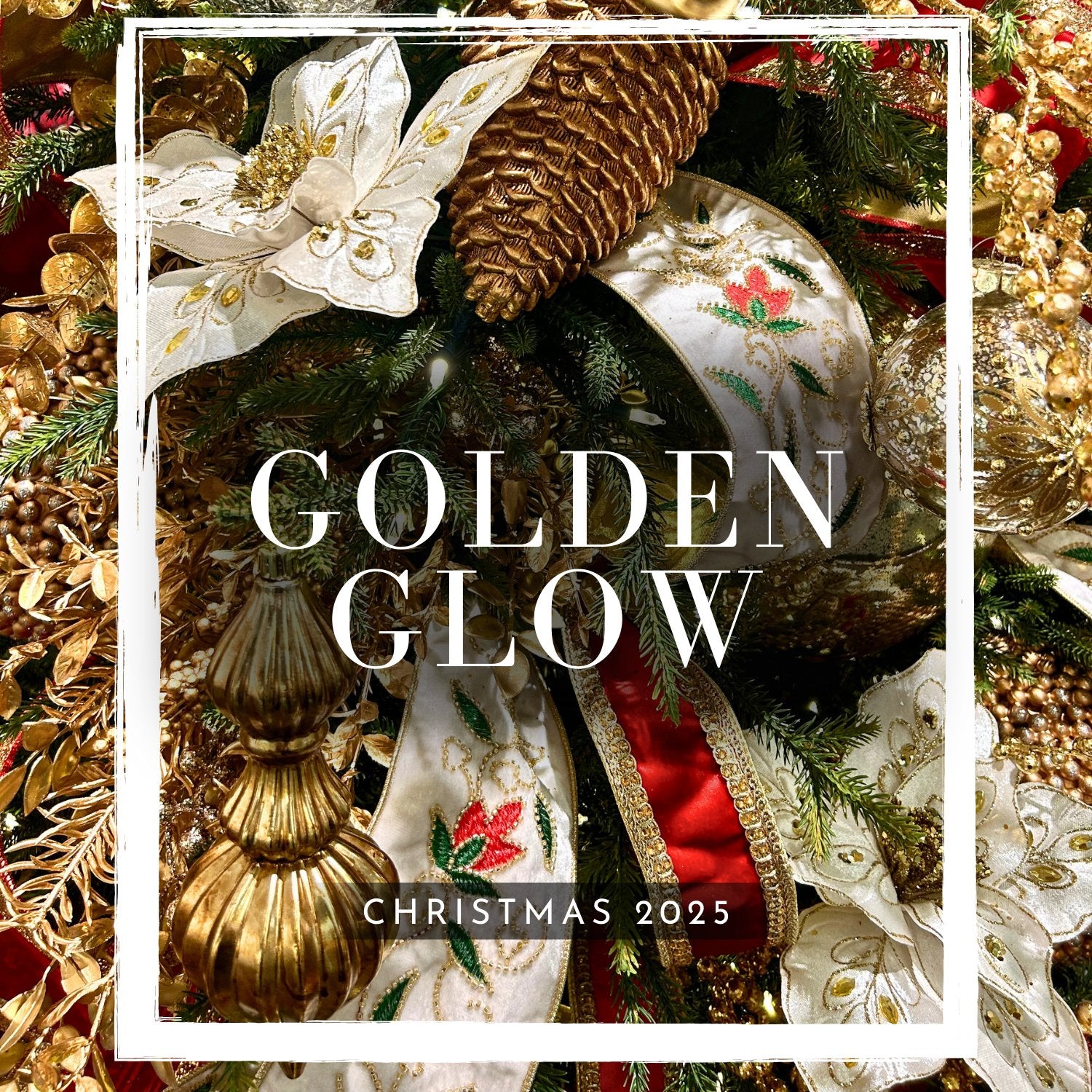 Golden Glow - 2025
