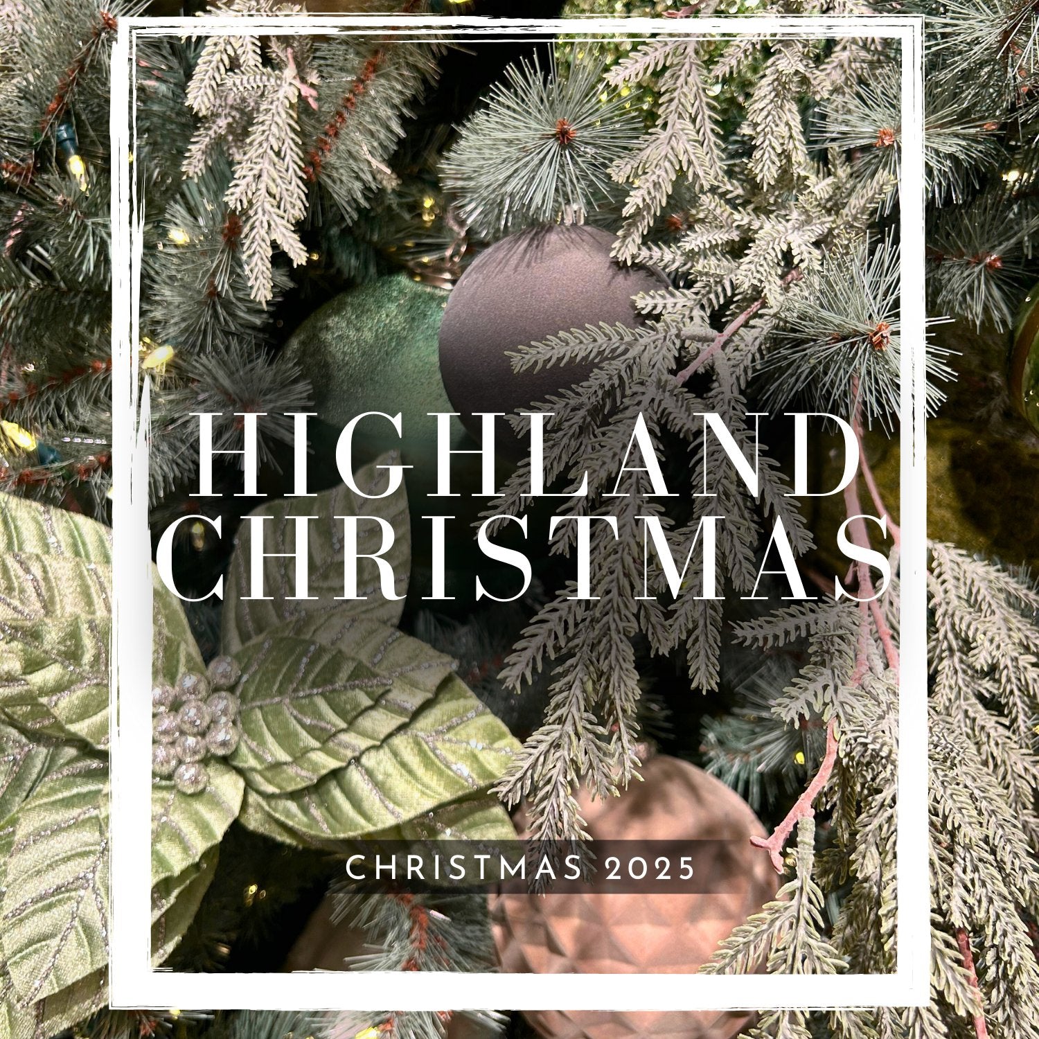 Highlands Christmas - 2025