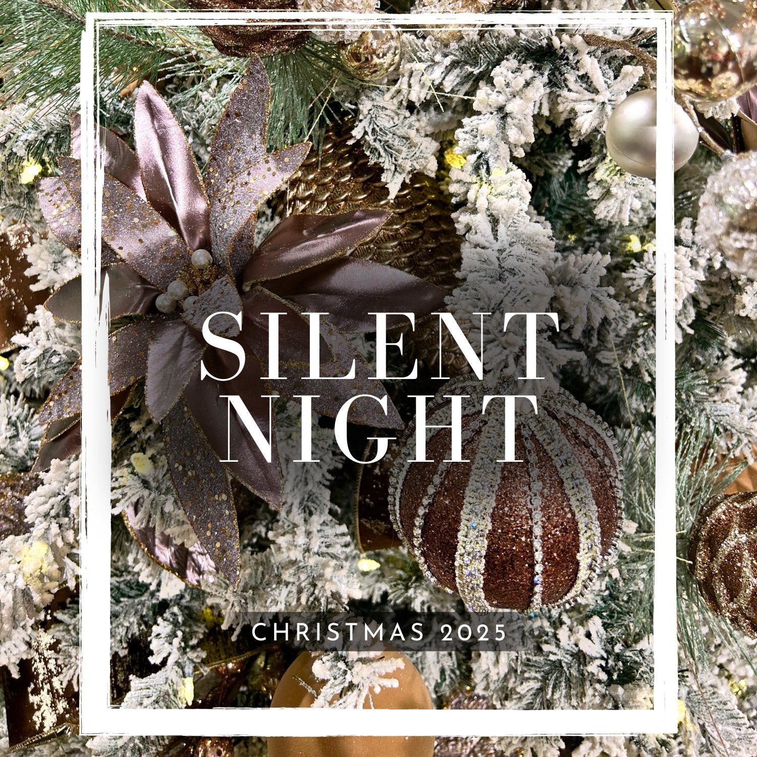 Silent Night - 2025