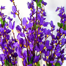 Load image into Gallery viewer, Star Blossom Bush x 7 - 24” - Purple |BYE