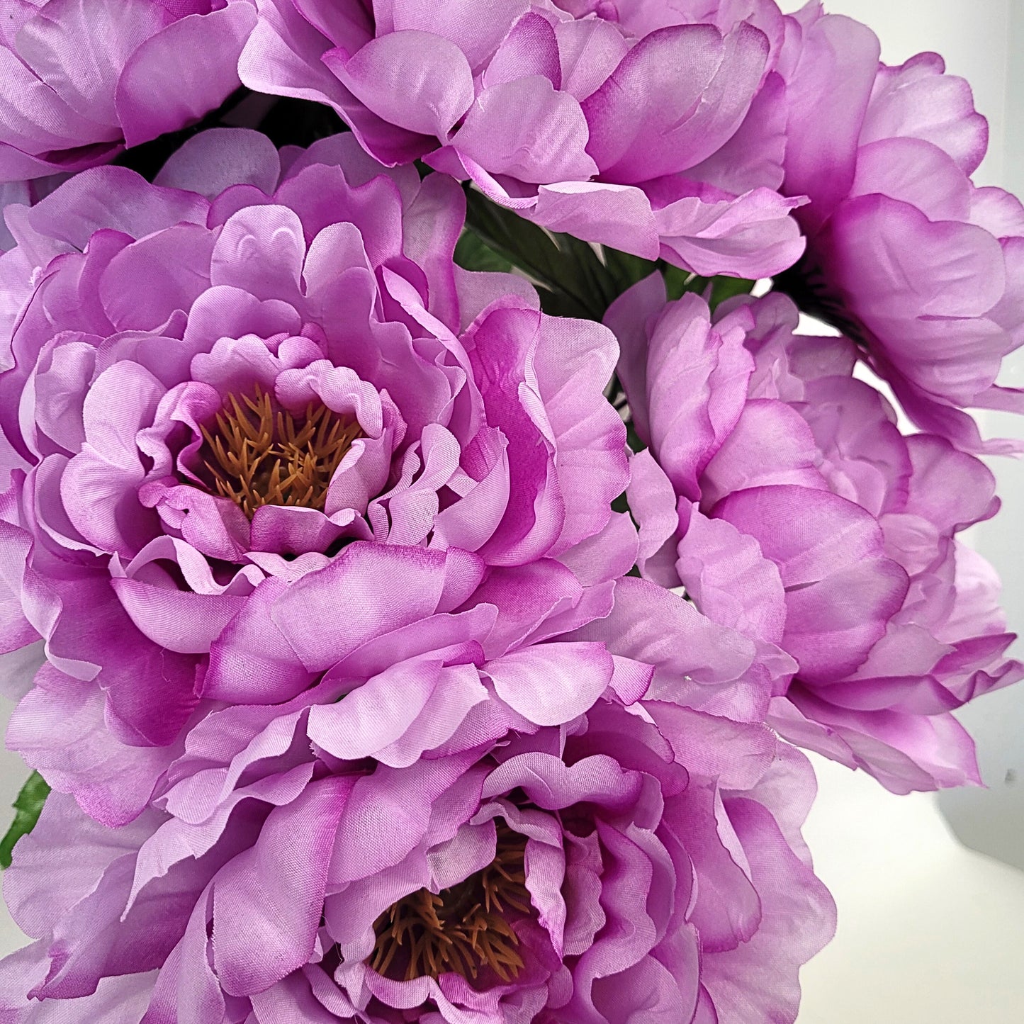 Peony Bush x 7 Lavender 18" | CZE