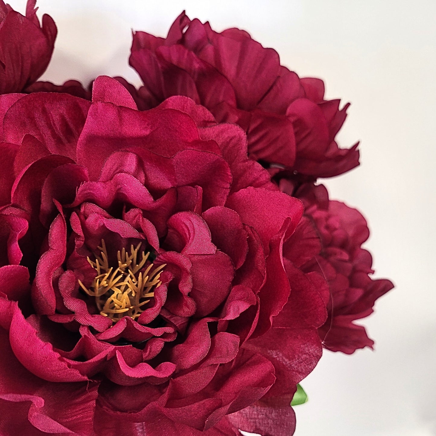 Peony Bush x 7 Dark Red 18" | CZE