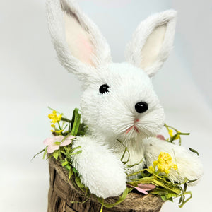 Bashful Baby Bunny Rabbit in Basket 6.5” | BFE