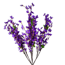 Load image into Gallery viewer, Star Blossom Bush x 7 - 24” - Purple |BYE