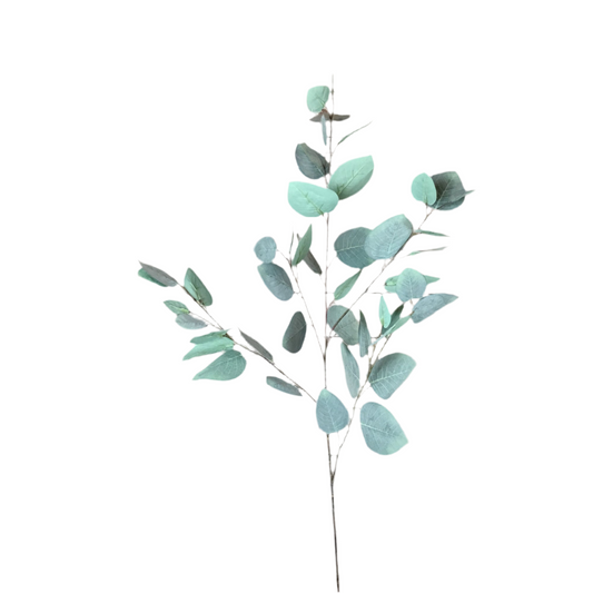 37" Silver Dollar Eucalyptus Spray |XJE