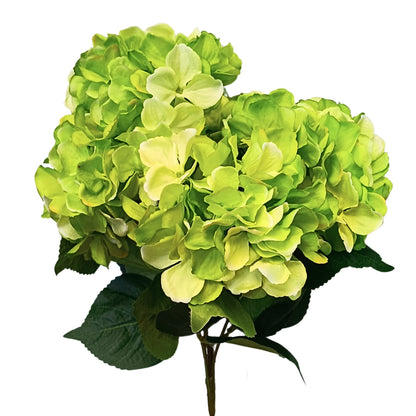 22" Hydrangea Bush with Leaves in Green | XJE