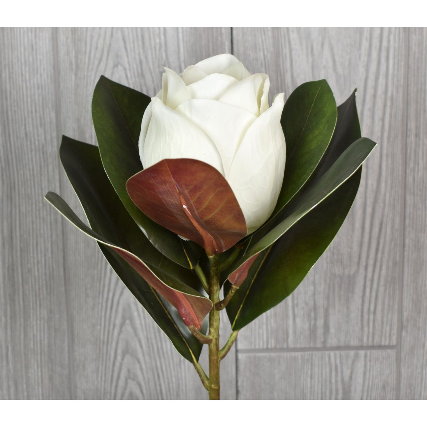 16” Fresh Cut Magnolia Spray | XJ