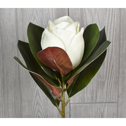 16” Fresh Cut Magnolia Spray | XJ