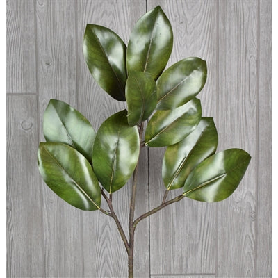 29" Fresh Cut Magnolia Leaf Spray in Green | XJ