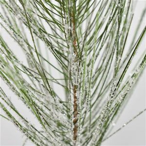 26" Snowed Long Needle Pine Spray | XJ