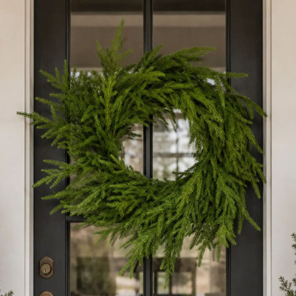 24" Natural Touch Norfolk Pine Wreath | XJ