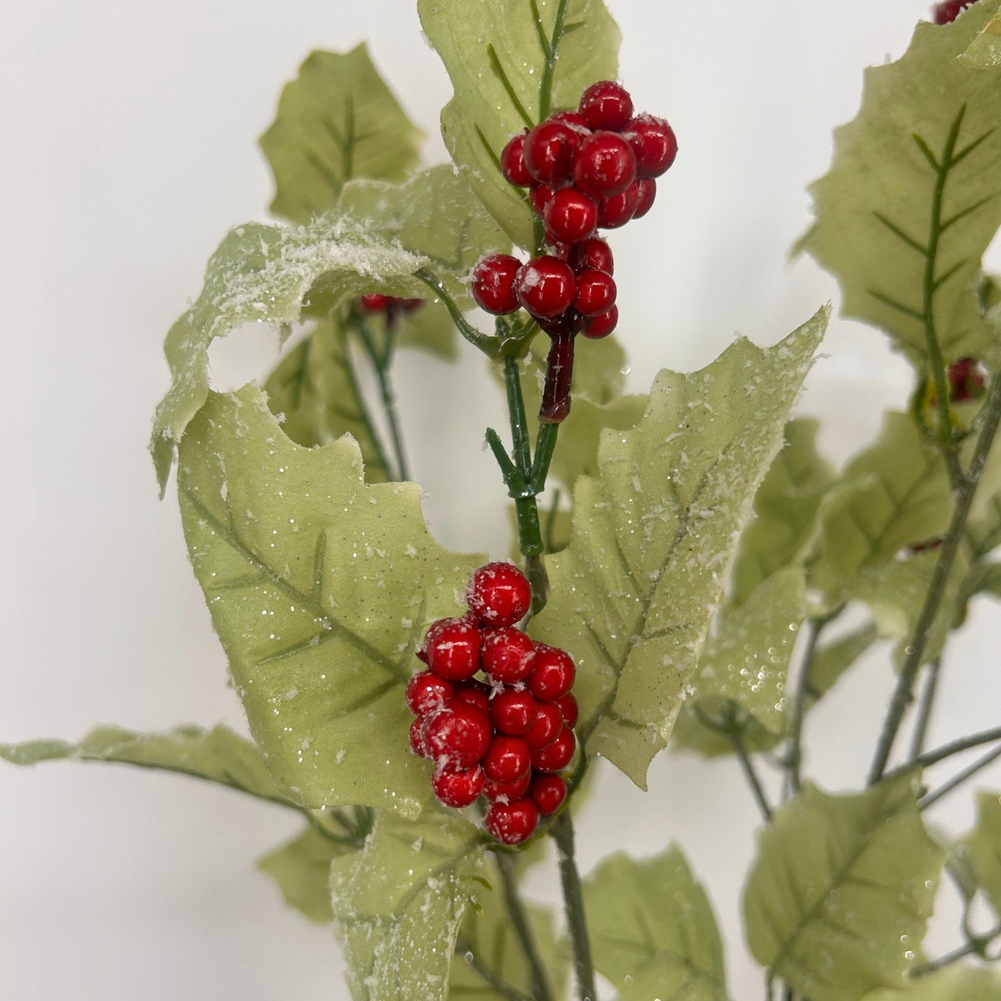 19" Frosted Holly Bush with Red Berries | QS