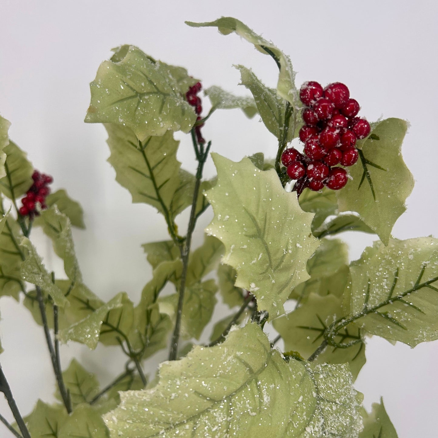 19" Frosted Holly Bush with Red Berries | QS
