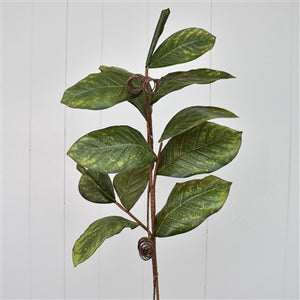 39" Magnolia Leaf Branch | XJ