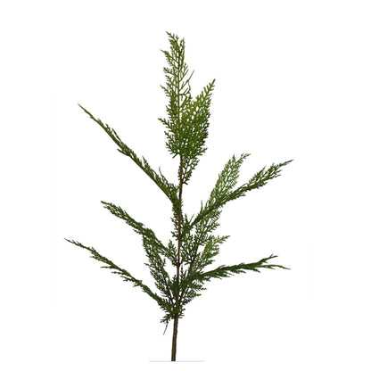 34” Selaginella Fresh Touch Cedar Spray | XJ