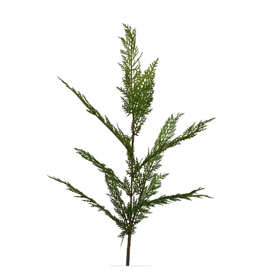 34” Selaginella Fresh Touch Cedar Spray | XJ