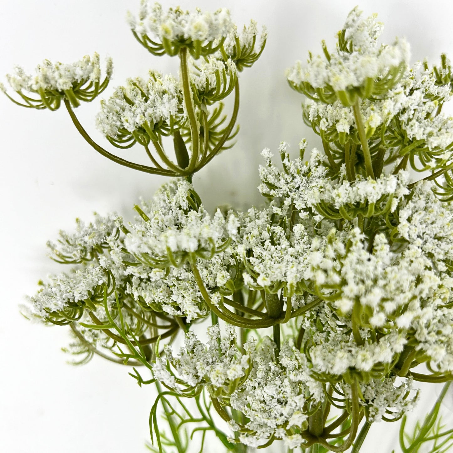 24” Queen Anne's Lace Bundle in White | XJE