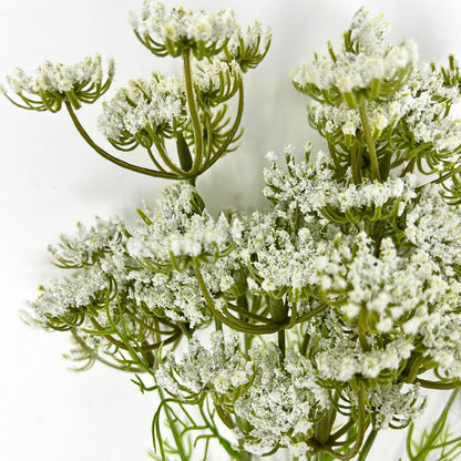 24” Queen Anne's Lace Bundle in White | XJE
